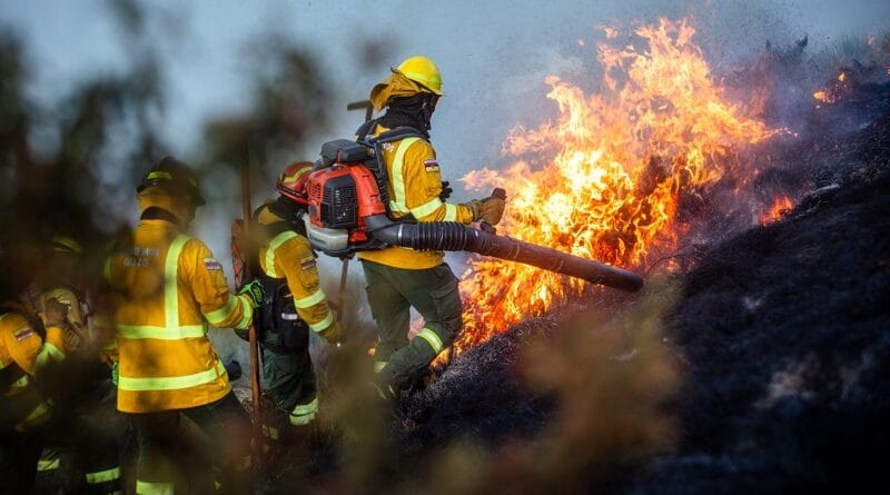 154 incendios forestales registra Quito durante la época seca de 2026